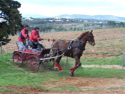 Concours d'entrainement