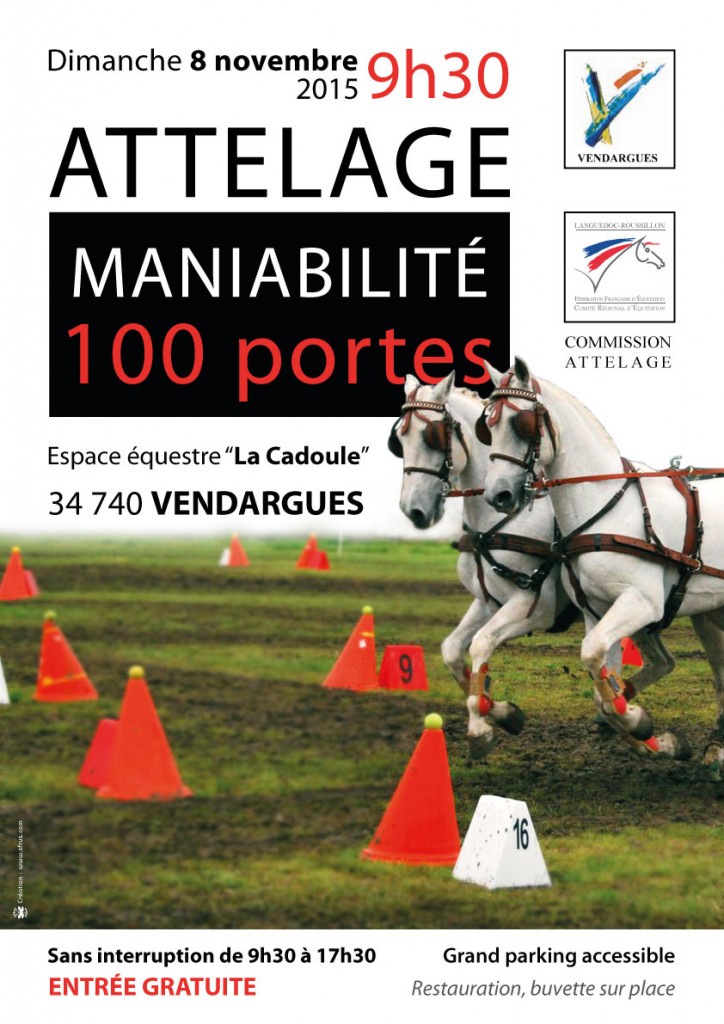 mania-100portes-2015_public1