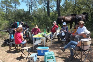 Pause en forêt au dessus de Correns