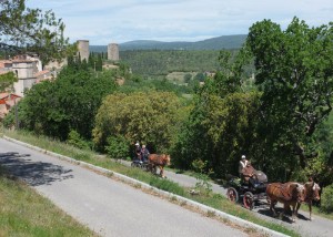 Au pied du Chateau de Ponteves