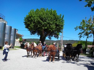 A la cave coopérative