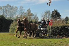 TREC_UZES_2015