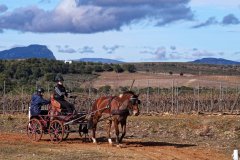 stage du 29 janvier 2017
