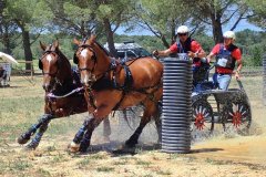 Galops Aglo 2019