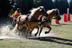 20230924 Derby Marathon à Tresques