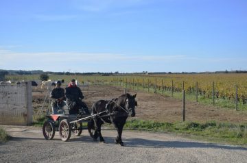 20231126-2-Randonnee-Plateau-Costieres-scaled