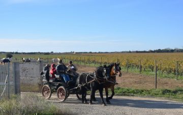 20231126-4-Randonnee-Plateau-Costieres-scaled