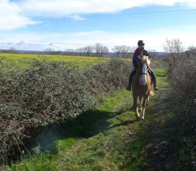 20240224-Ceze-Attelage-2-scaled