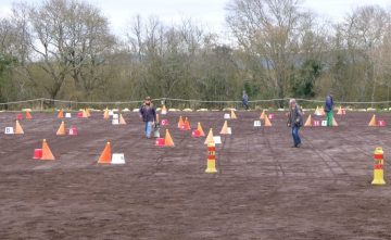 20240224-Ceze-Attelage-4-scaled