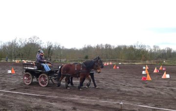 20240224-Ceze-Attelage-5