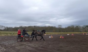 20240224-Ceze-Attelage-7-scaled