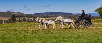 20240323-Castries-14-scaled