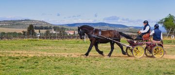 20240323-Castries-3-scaled