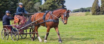 20240323-Castries-5-scaled