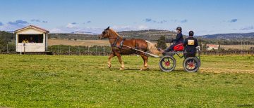 20240323-Castries-6-scaled