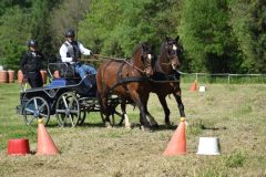 20240414 Tresques
