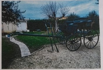 Annonce-spider-couleur-1