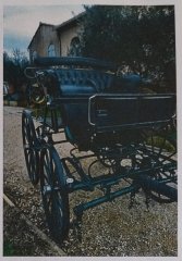 Annonce-spider-couleur-2