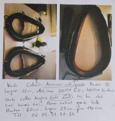 annonce-collier-ARALR-scaled