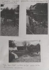 annonce-spider-scaled