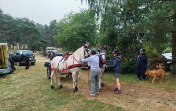 IMG_20260727_093514
