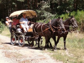 IMG_20260728_123958