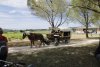 nimes_02355