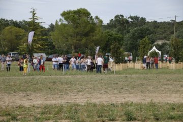 nimes_03053