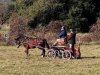DSCF7568_1200
