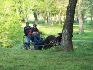 2009-aramon002