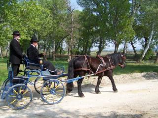 2009-aramon003