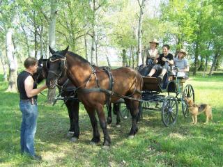 2009-aramon004