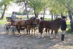 ARAMON 2009