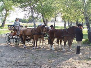 2009-aramon005