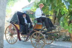 attelage ancien Salinelles 2015