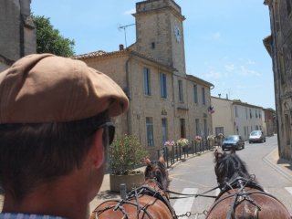Salinelles2015