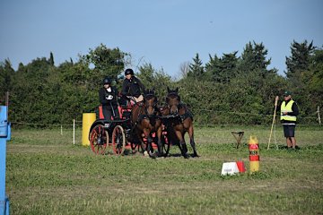 DSC_2014