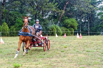 Castries_2016_Claire