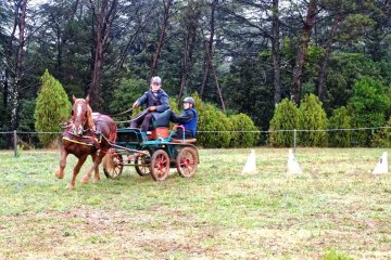 Castries_2016_Devautour