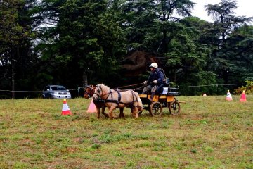 Castries_2016_Hervé