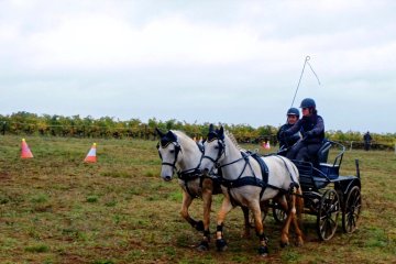 Castries_2016_laeticia