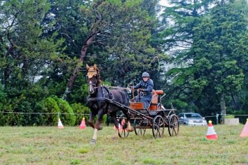 affiche-Arbousier-2016