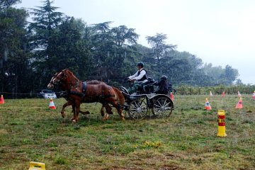 traits_de_pluie
