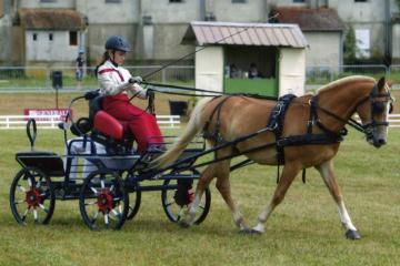 championnatdefrance