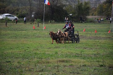 DSC_2518_3