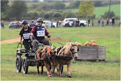 Championnat de France de TREC 2022