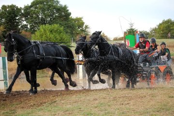 lignieres 2018 Alain BEZIATx1200
