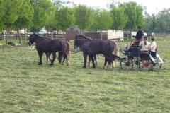 Concours Combiné Lattes 2009