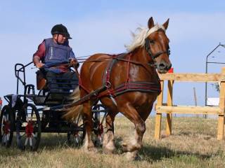 p1050869_dxo_800