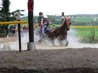 p1050925_dxo_800